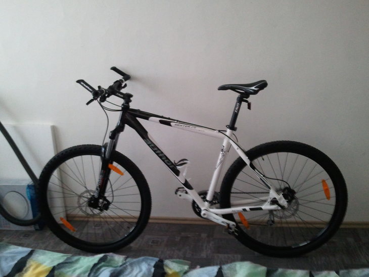 cross dexter 27.5