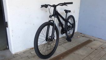 mongoose fireball 2013