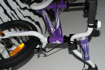 specialized hotrock 16 purple