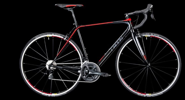 radon sage carbon 105