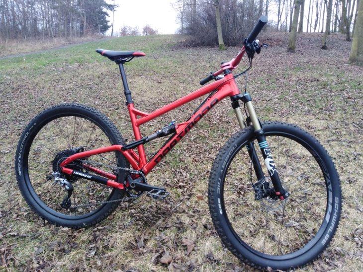 dartmoor bluebird 29 frame