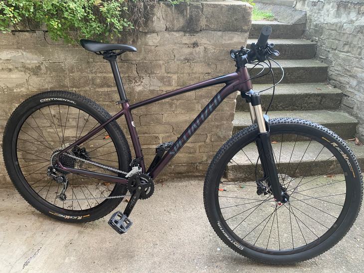 specialized rockhopper 2019 expert