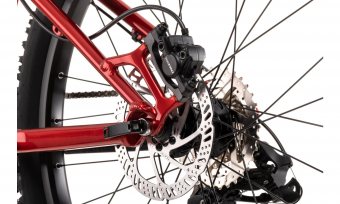 vitus nucleus 24 kids