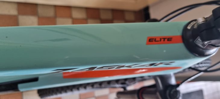 gt zaskar elite 2019