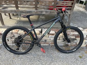 santa cruz chameleon d 