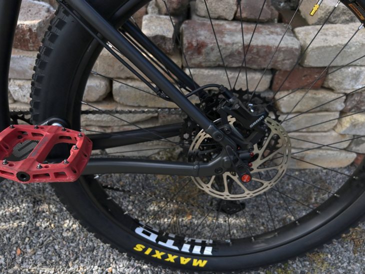 santa cruz chameleon d 