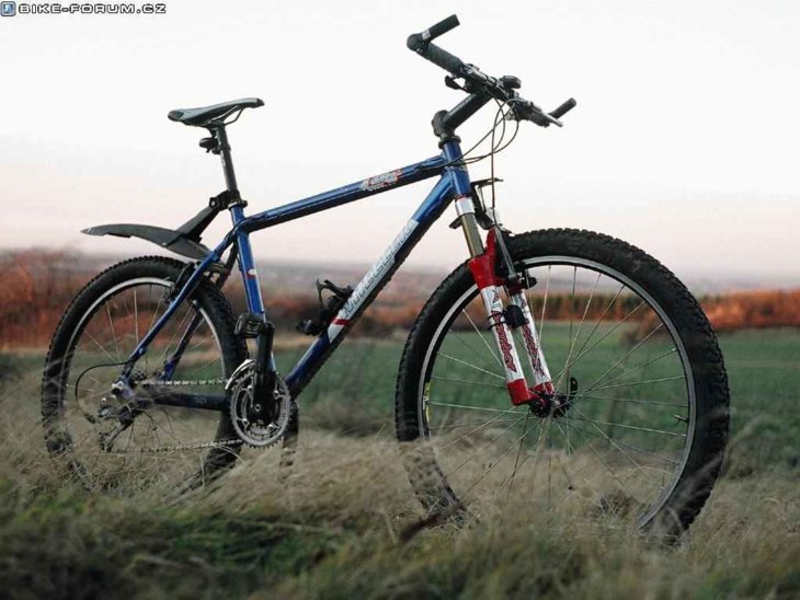 wheeler 5900 mountain bike