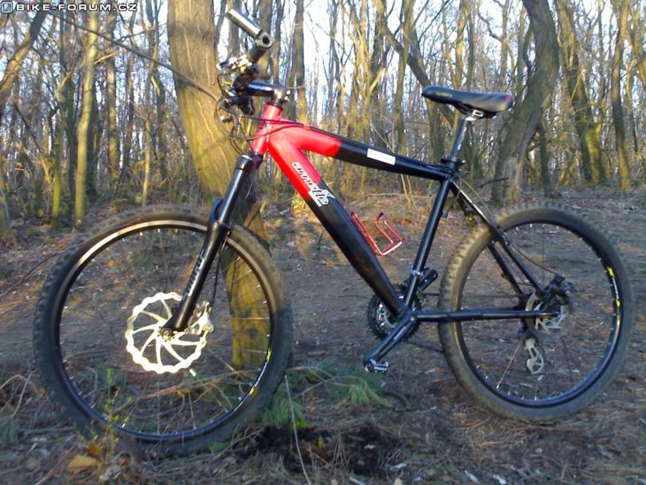 dynamik bike