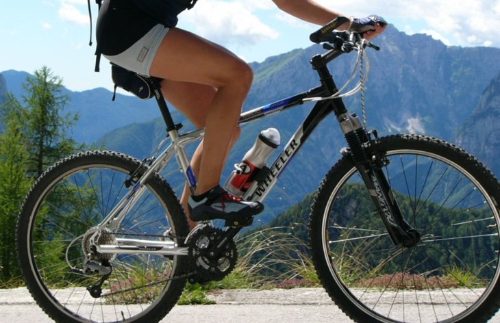 wheeler 5900 mountain bike