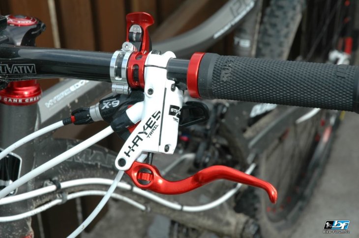 hayes nine carbon