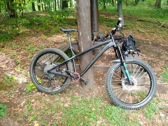 dartmoor hornet 2019 frame