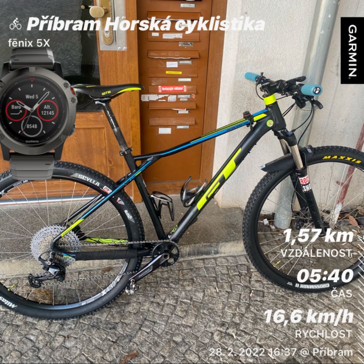 ale master bib shorts