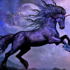 nocturnal.unicorn
