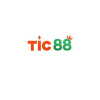 tic88one