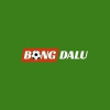 bongdaluguruu