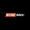 bongdalu2026net