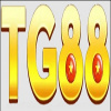 tg88z1com