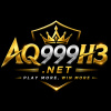 aq999h3