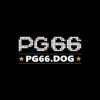 pg66dog