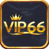 vip66nyvip