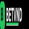 betvnd86com